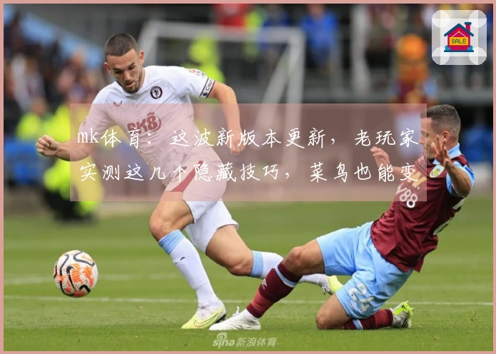 mk体育：这波新版本更新，老玩家实测这几个隐藏技巧，菜鸟也能变大神